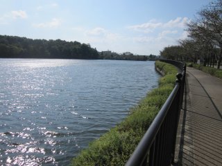 上野池