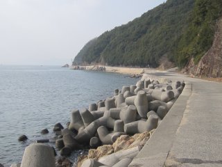 横島の海岸