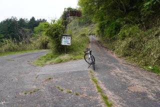 はちまきの道から直登道へ