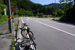 国道の分岐
