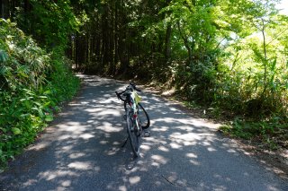 R444の最高点