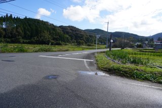 鯉が窪湿原への分岐