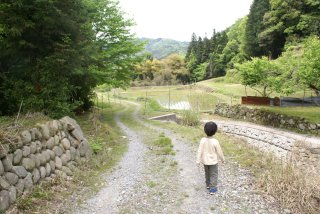 平地に出た