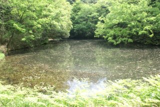 右側の池