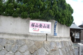 桜山登山道